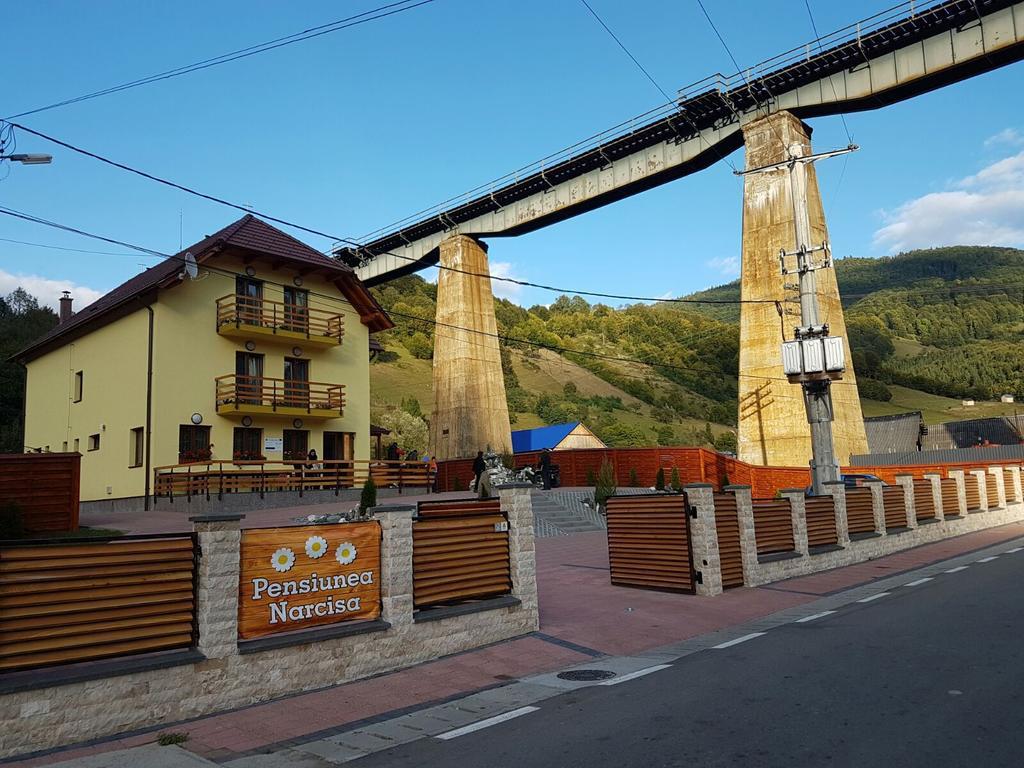 Pensiunea Narcisa Romuli Exterior photo